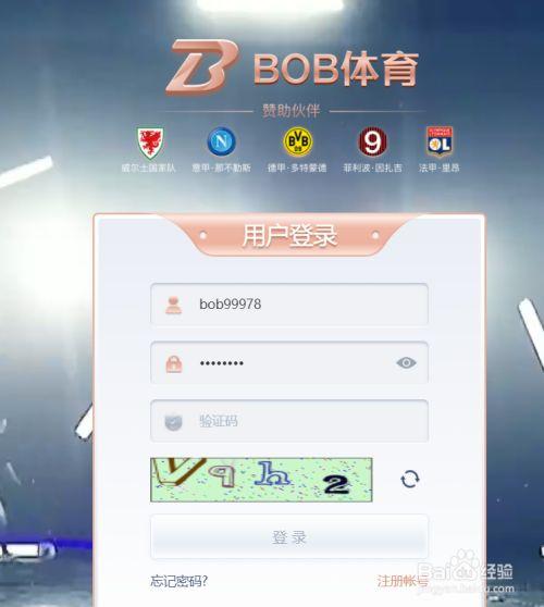 巴博体育官网（bob88体育平台登录）